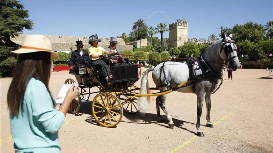 Los enganches dan sabor internacional a Cabalcor