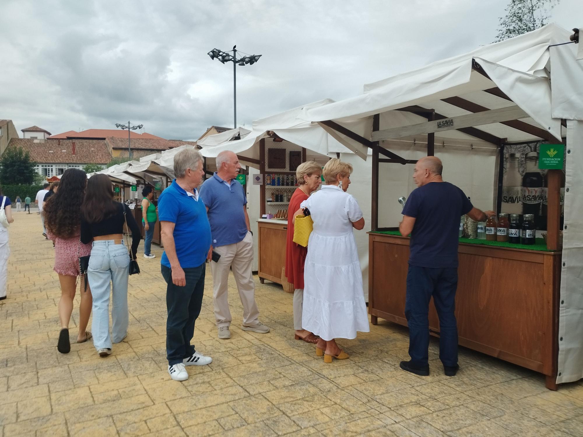 Villaviciosa esquiva la lluvia en el Mercado Artesano y Ecológico, en imágenes