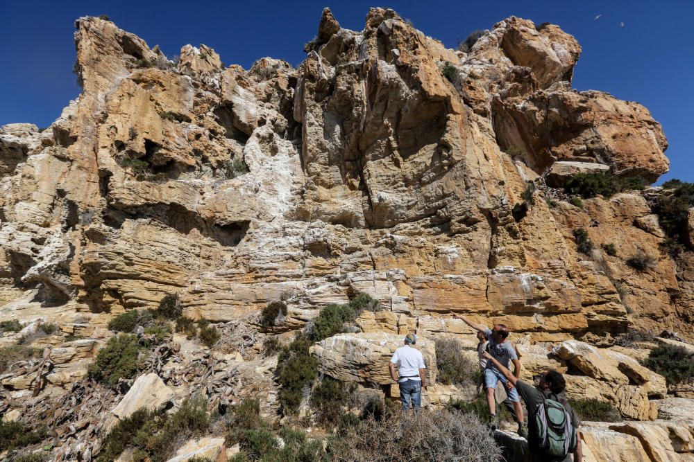 Un cuarto de siglo tras el vuelo del paíño en Benidorm