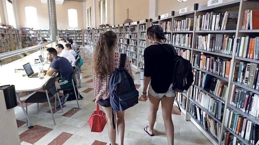 Bibliotecas de Palma, un oasis de paz entre libros