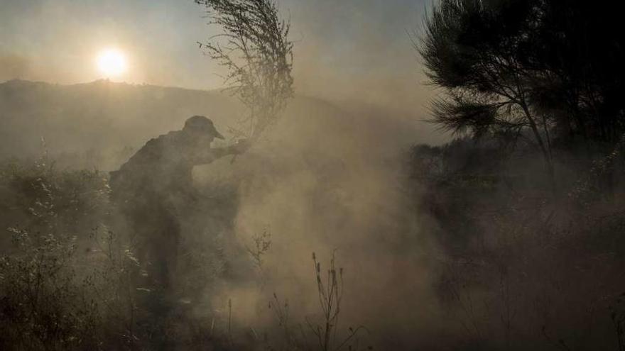 Un vecino de O Rosal, en Oímbra, enfrentándose al fuego con una rama. // Brais Lorenzo