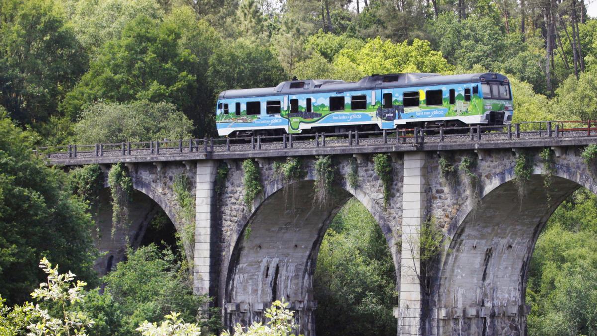 Renfe y Turismo inician la temporada de Trenes Turísticos de Galicia con la ruta de la Camelia en Flor.