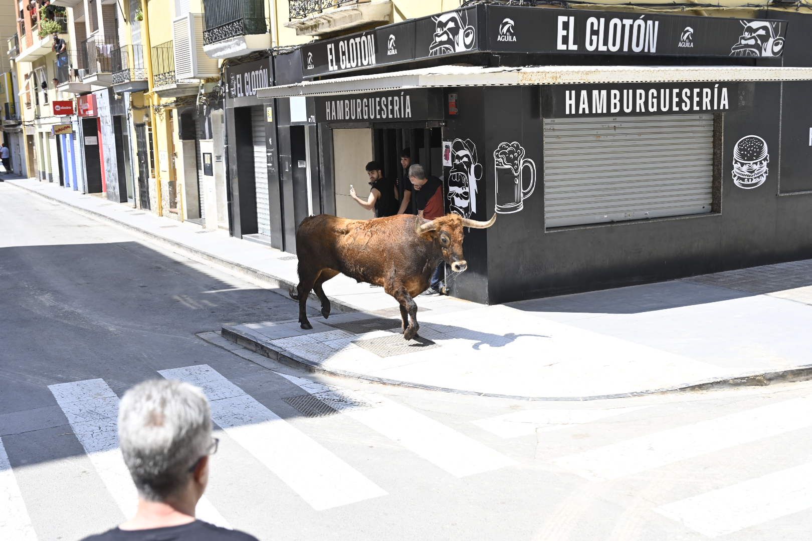 El ‘bou’ toma protagonismo mañana, tarde y noche en el Grau en fiestas