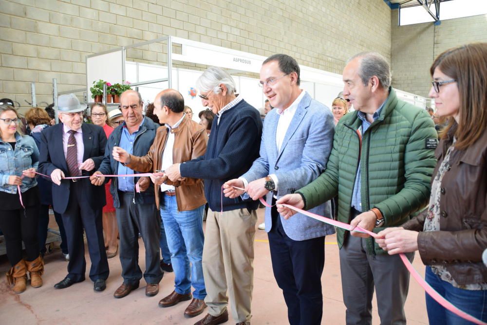 Feria ganadera de San Miguel en Carbajales de Alba