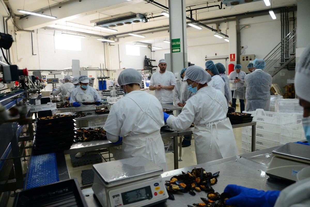 Visita a las instalaciones de Pescados Marcelino, una empresa con más de medio siglo de historia en el puerto de Aldán Visita a las instalaciones de Pescados Marcelino, una empresa con más de medio siglo de historia en el puerto de Aldán