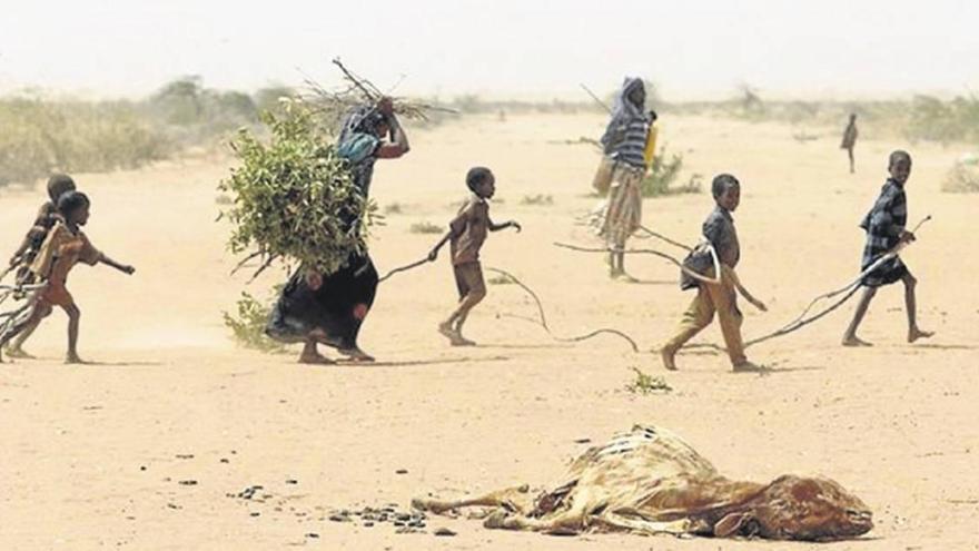 Éxodo y cambio climático