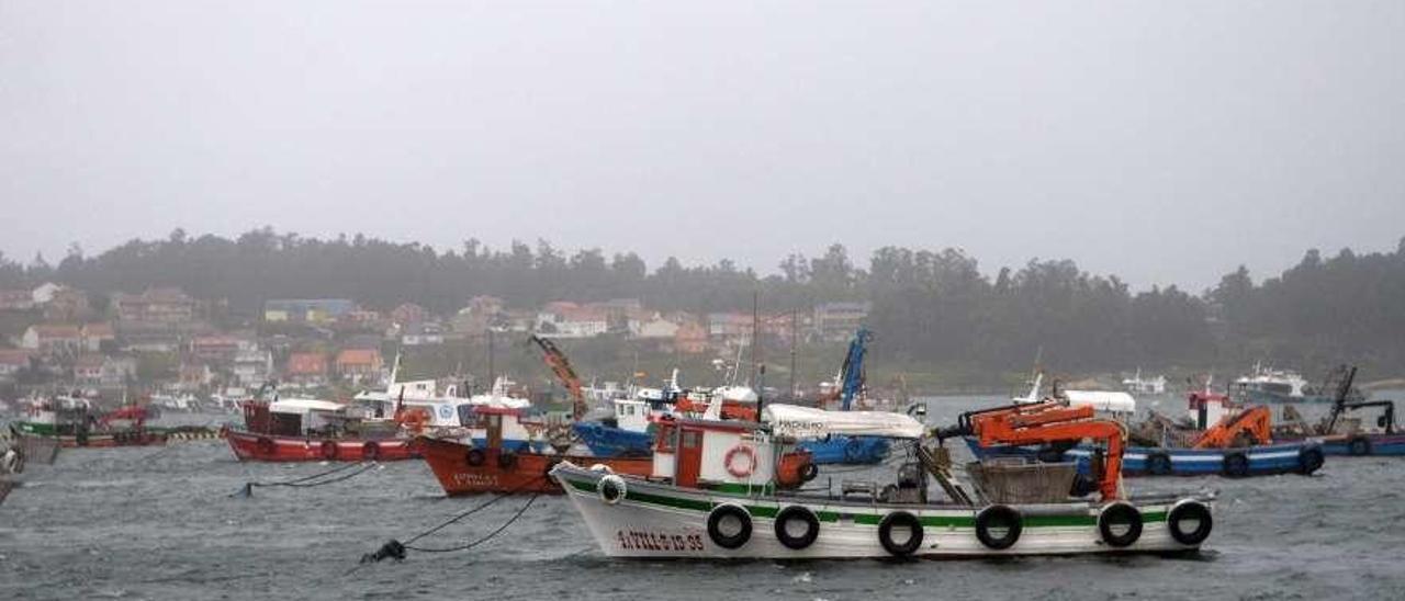 Dársena de O Xufre, en A Illa de Arousa. // Noé Parga