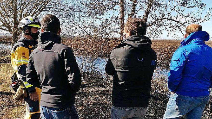 Feuer in Albufera war das Werk von Menschenhand