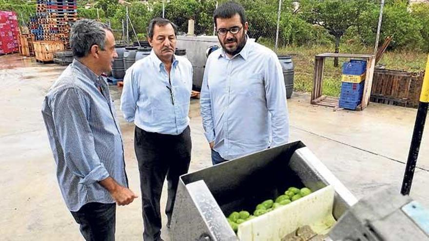 El conseller, con el presidente de la DO y otros dirigentes.