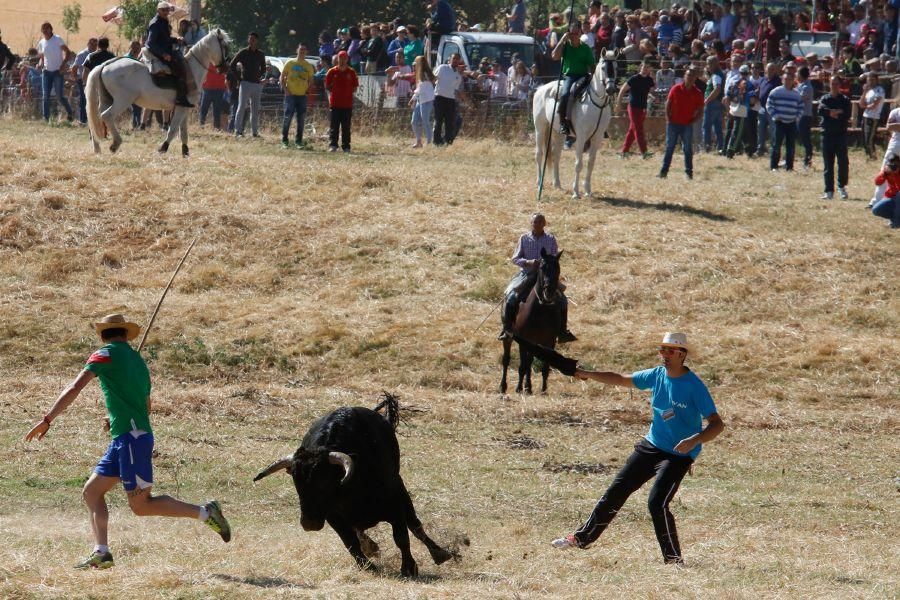 Encierro Guarrate