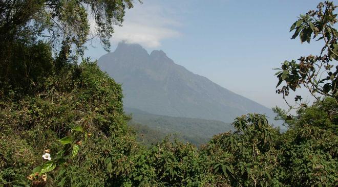 Virunga landscape