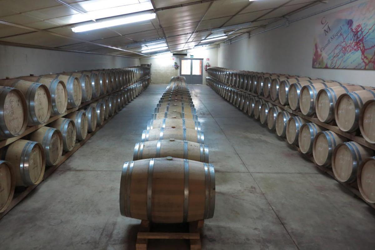 Vendimia en Mallorca en la finca Castell Miquel