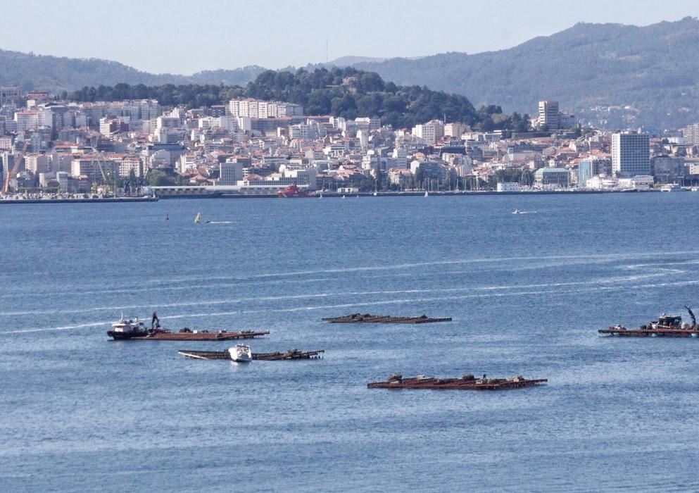 Un yate choca contra una batea en Moaña // S.Álvarez