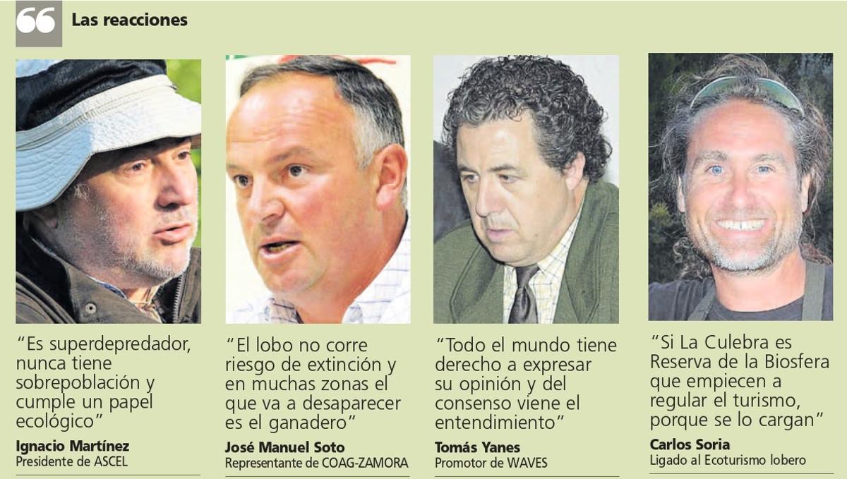 Posiciones sobre el control y conservación del lobo.