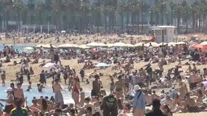 Las playas de Barcelona, este sábado.