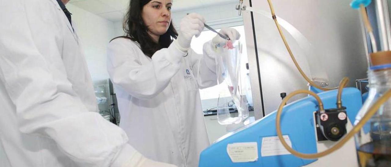 Bruno de Lucas y Marta Sampayo, en el laboratorio.