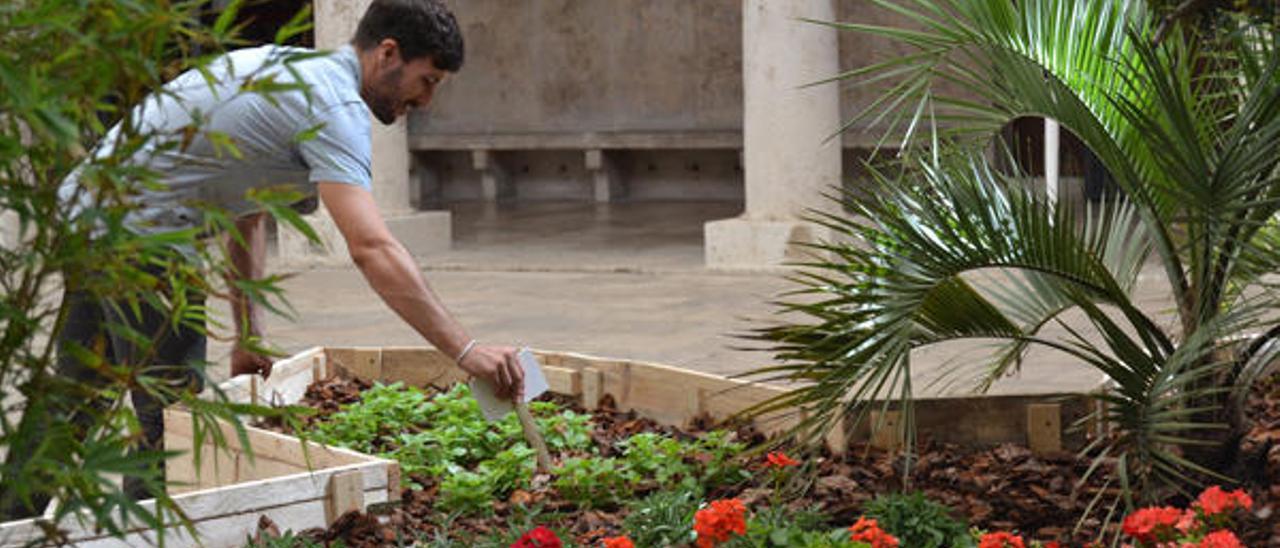 Inmigración e identidad en un jardín urbano