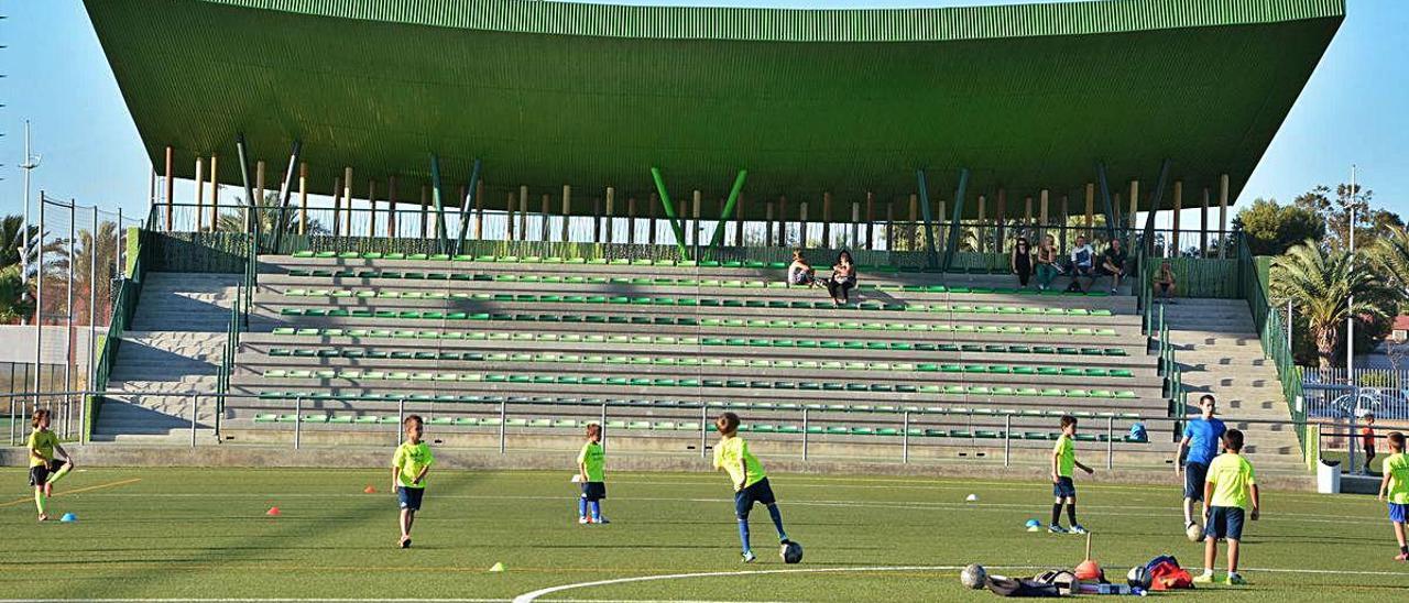 Un grupo de niños juega en las instalaciones de la Ciudad Deportiva de Torrevieja.
