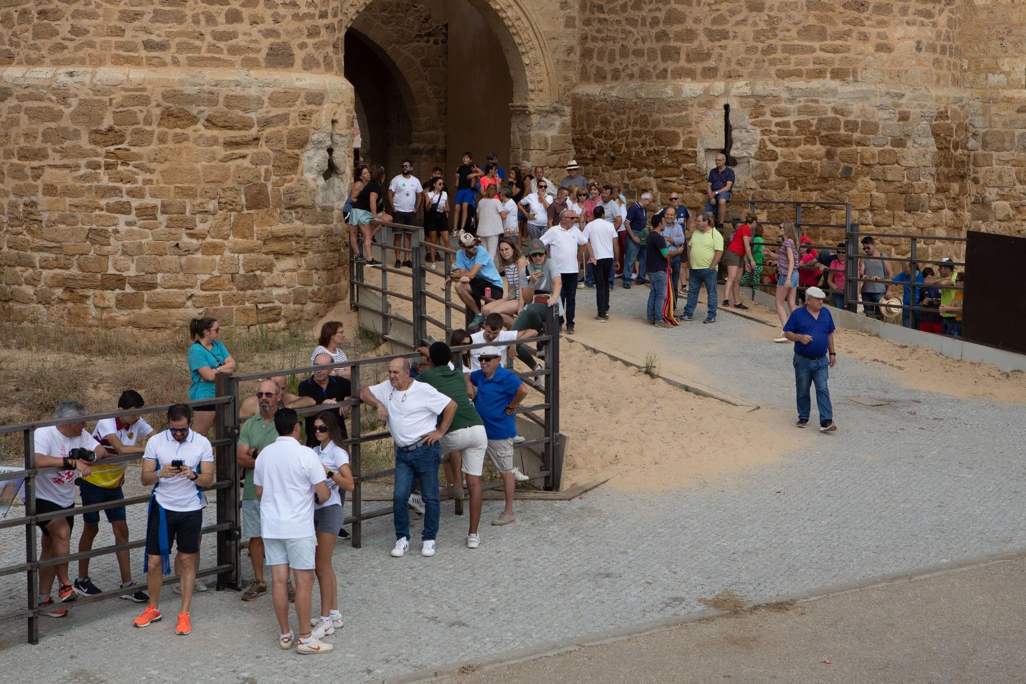 GALERÍA | Revive el segundo encierro mixto de las fiestas de Villalpando