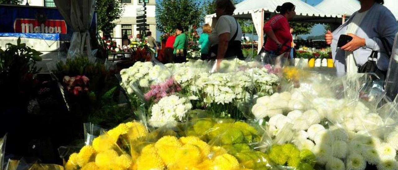 Mercado de flores de Cambados, el pasado año. // Iñaki Abella