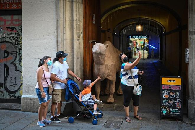 El famoso camello del mercado alternativo de la calle Portaferrisa de Barcelona tendrá su propio documental:  "Representa otra manera de entender la vida"
