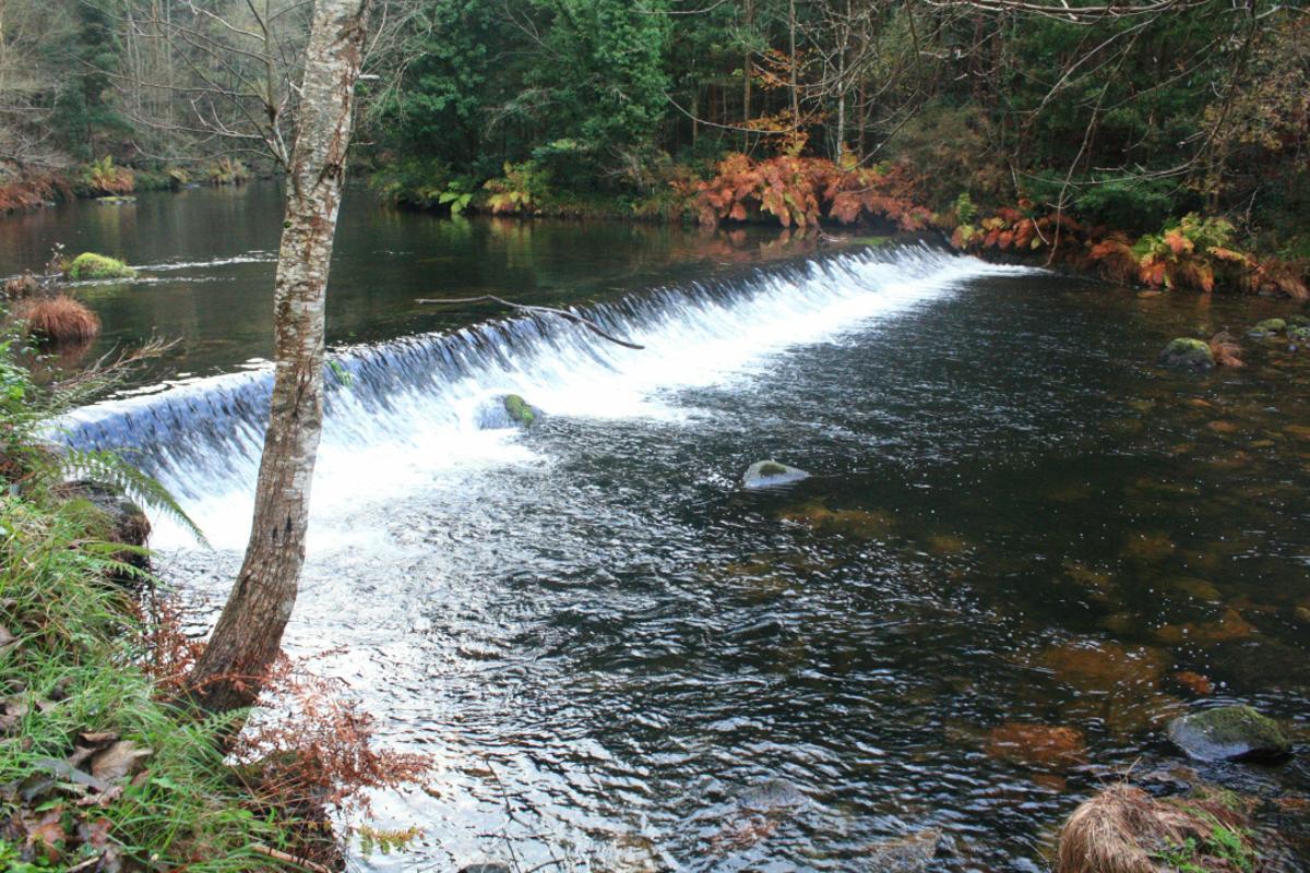 El río Landro cruza la zona dejando creando un ambiente calmado con su rumor.