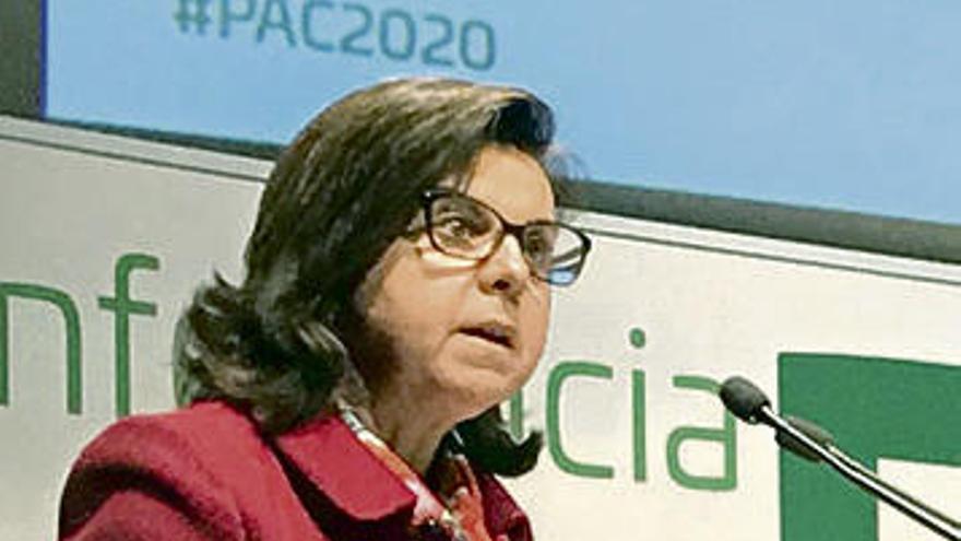 La Consejera María Jesús Álvarez, ayer durante su intervención.