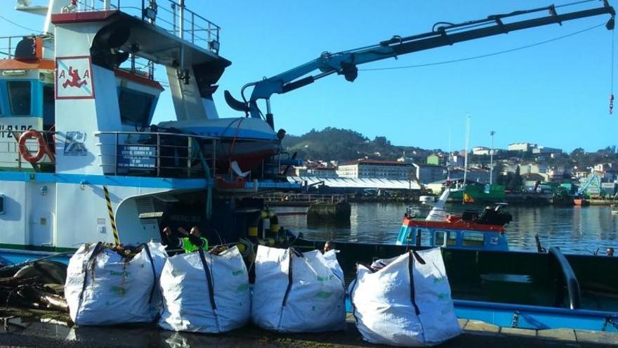 El Puerto retiró casi mil toneladas de residuos en 2017