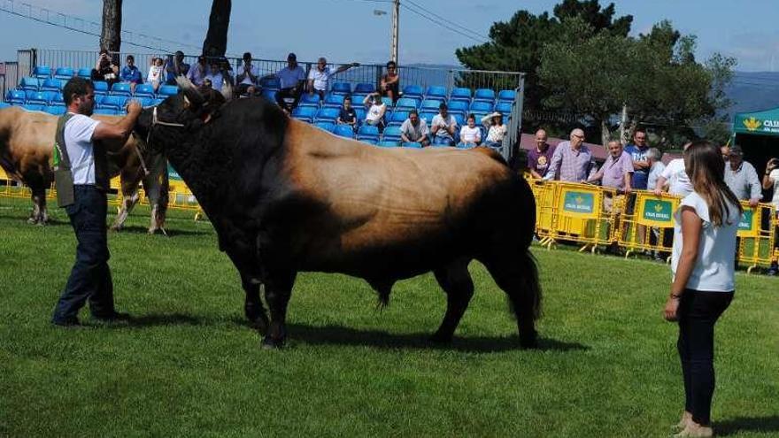 Lo mejor de la agricultura y del ganado.