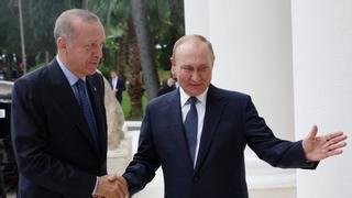 Erdogan y Putin, una buena relación por interés