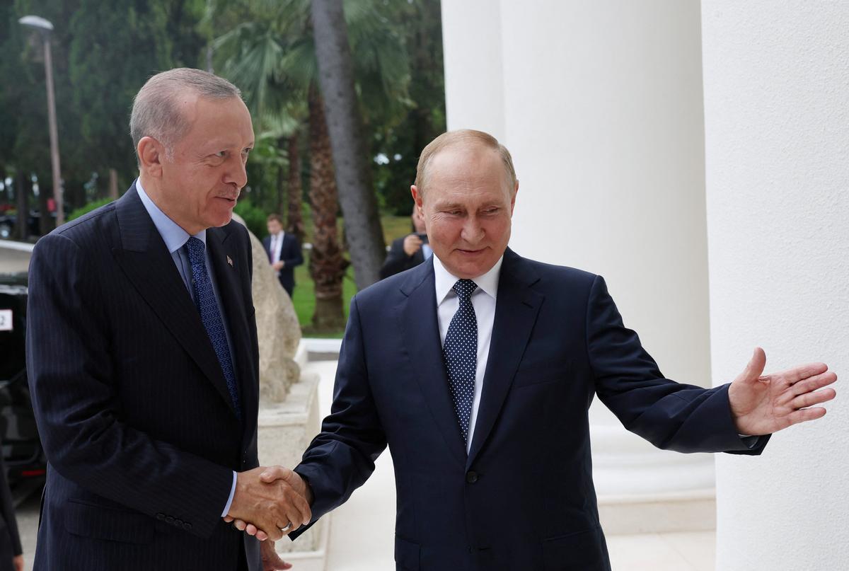 Erdogan i Putin, una bona relació per interès