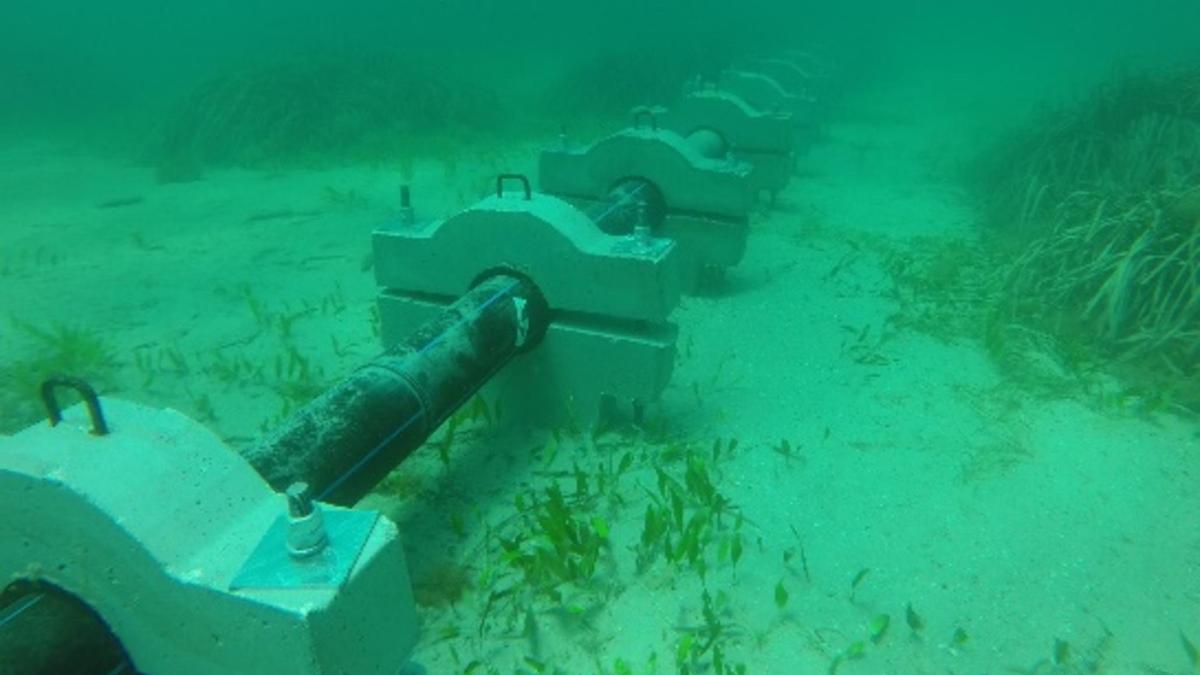 Imagen del lecho marino con la tubería de aguas negras entre Tabarca y Santa Pola