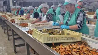 Nutriscore: Un etiquetado que genera demasiadas dudas