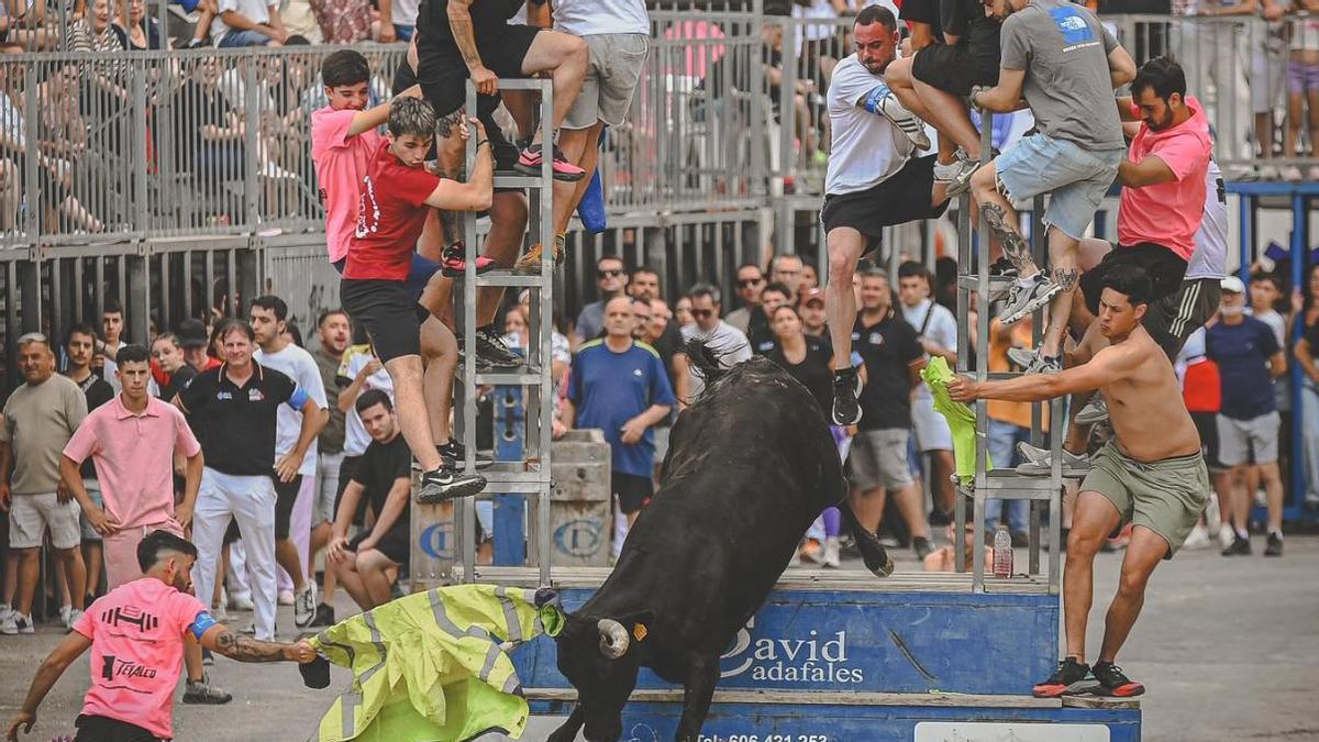 Una imagen de los 'bous al carrer' en Paiporta este pasado fin de semana.