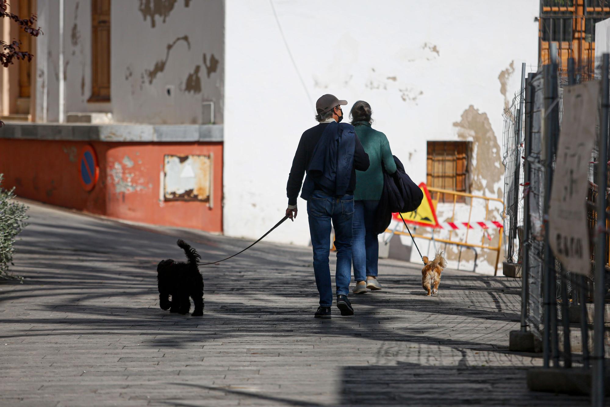 Los residentes de Ibiza descubren Dalt Vila