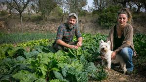 Multimèdia | Banc de terres: al rescat dels camps abandonats de Barcelona