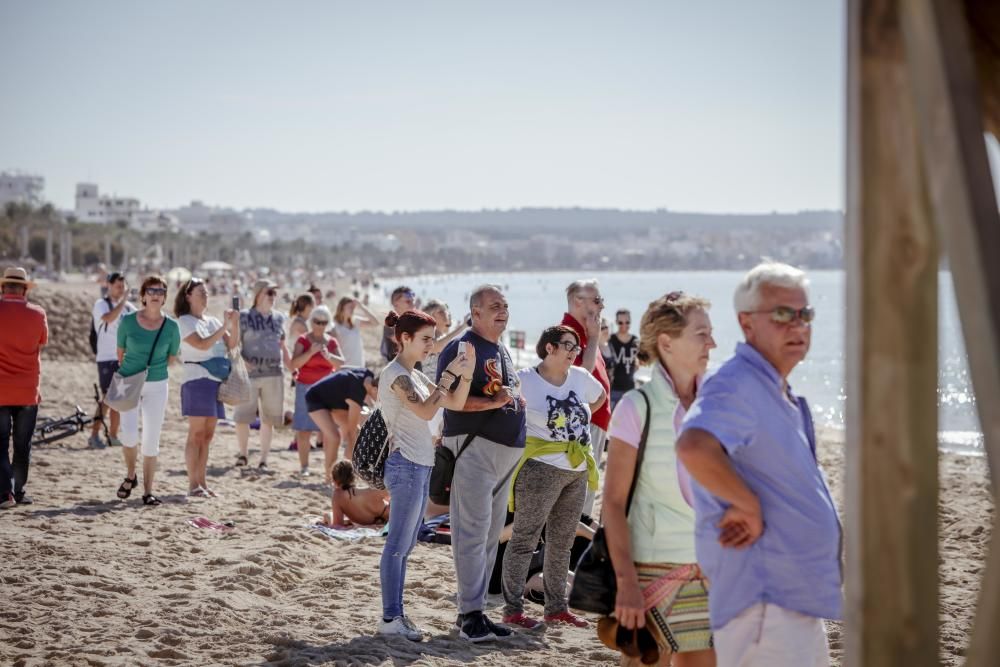 Hai-Alarm mit Happy-End auf Mallorca