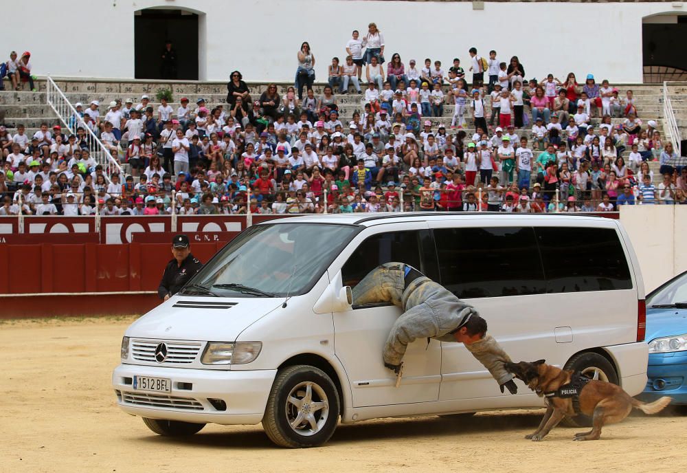 La plaza de toros de Málaga ha acogido el encuentro entre escolares de varios colegios malagueños y efectivos del cuerpo.