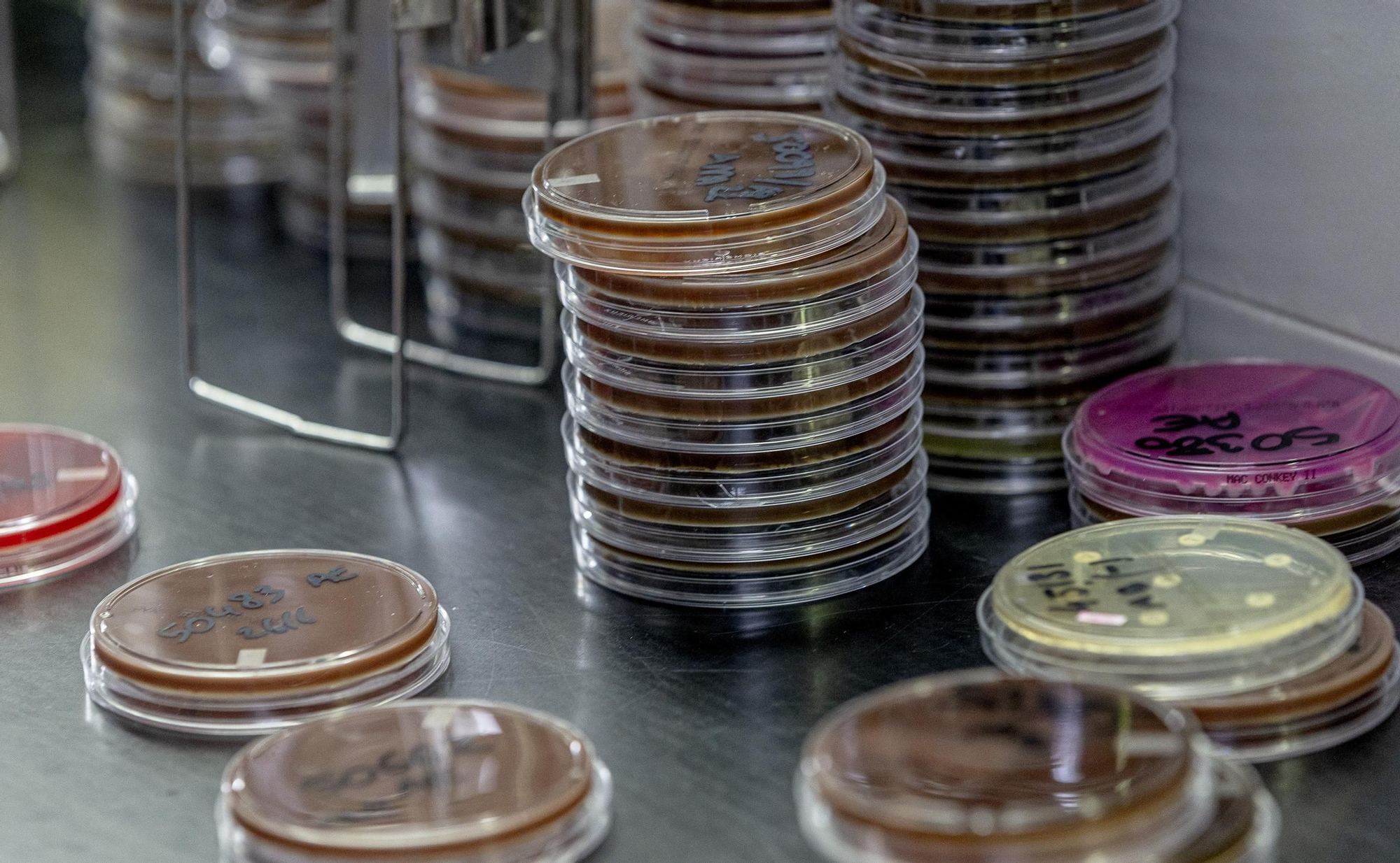 Protocolo para optimizar la respuesta rápida en código sepsis en Alicante