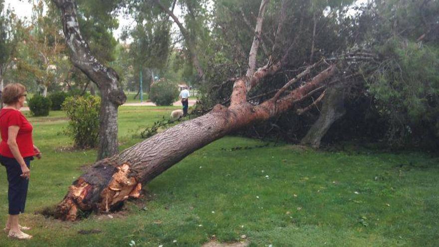 Preocupación vecinal por el parque Macanaz