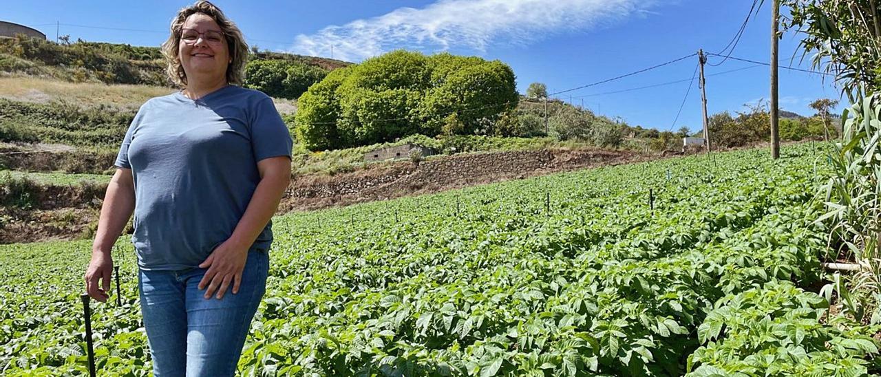 Los castaños de leche de oro