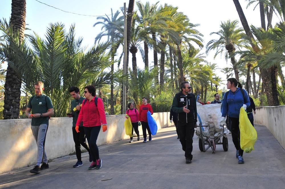 Limpieza de huertos para proteger el Palmeral