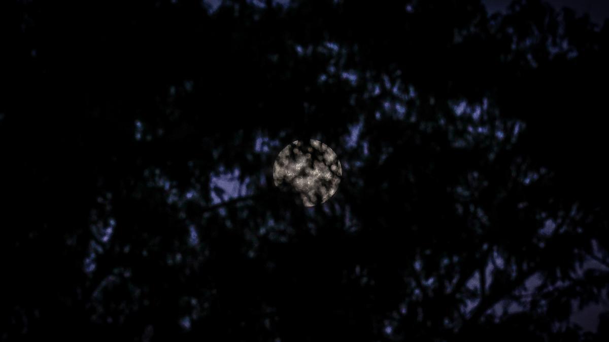 La Superluna de ciervo, vista desde el Parque Nacional de Iguazú, en Argentina