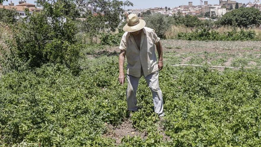 Solicitan el uso de agua reciclada para regar las huertas de la ribera del Marco de Cáceres