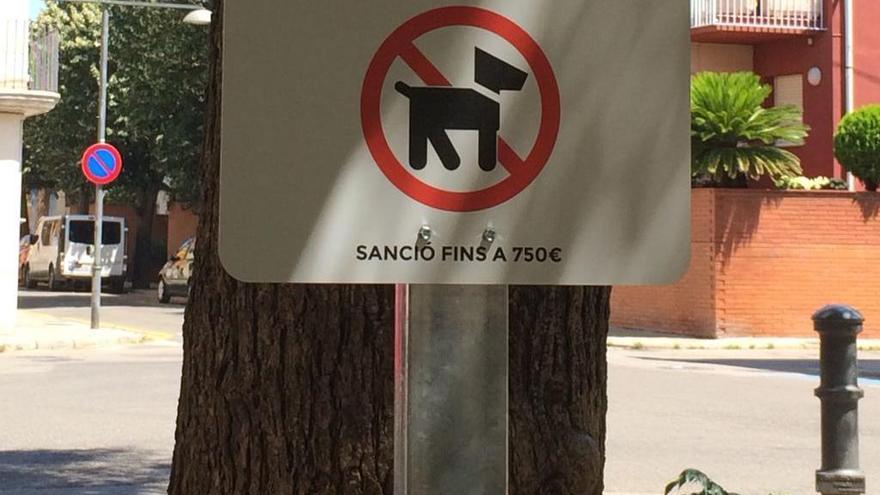 Un dels cartells que indiquen la prohibició.