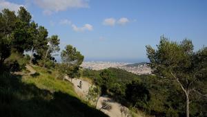 S’han trobat possibles restes d’ossos humans a Collserola, a Sant Cugat