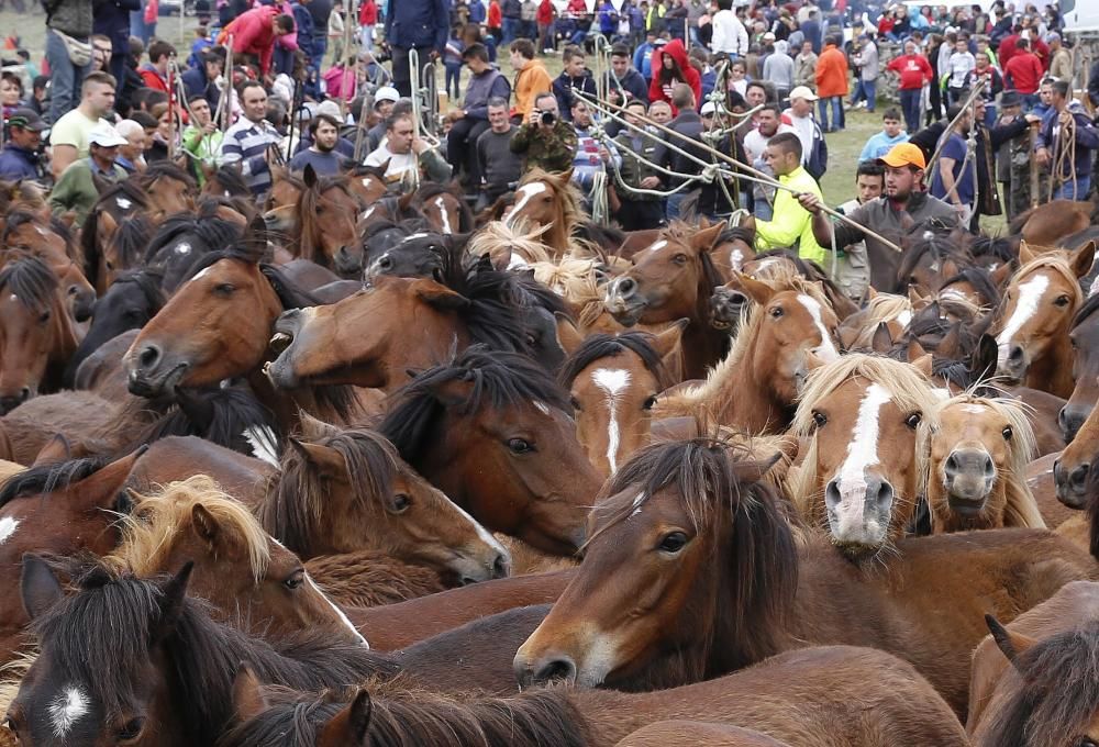 El primer curro de la temporada marca 270 caballos ante más de un millar de espectadores en Oia