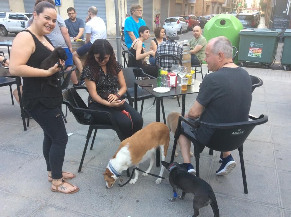 Tapeo solidario de la protectora APAX de Xirivella