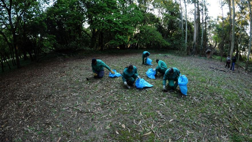 Una oportunidad perdida para actuar en 30 hectáreas de monte en Vilagarcía