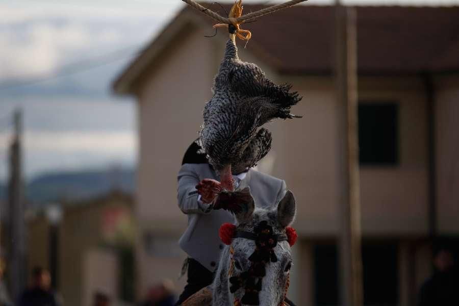 Carrera de Gallos en Fresno de la Ribera